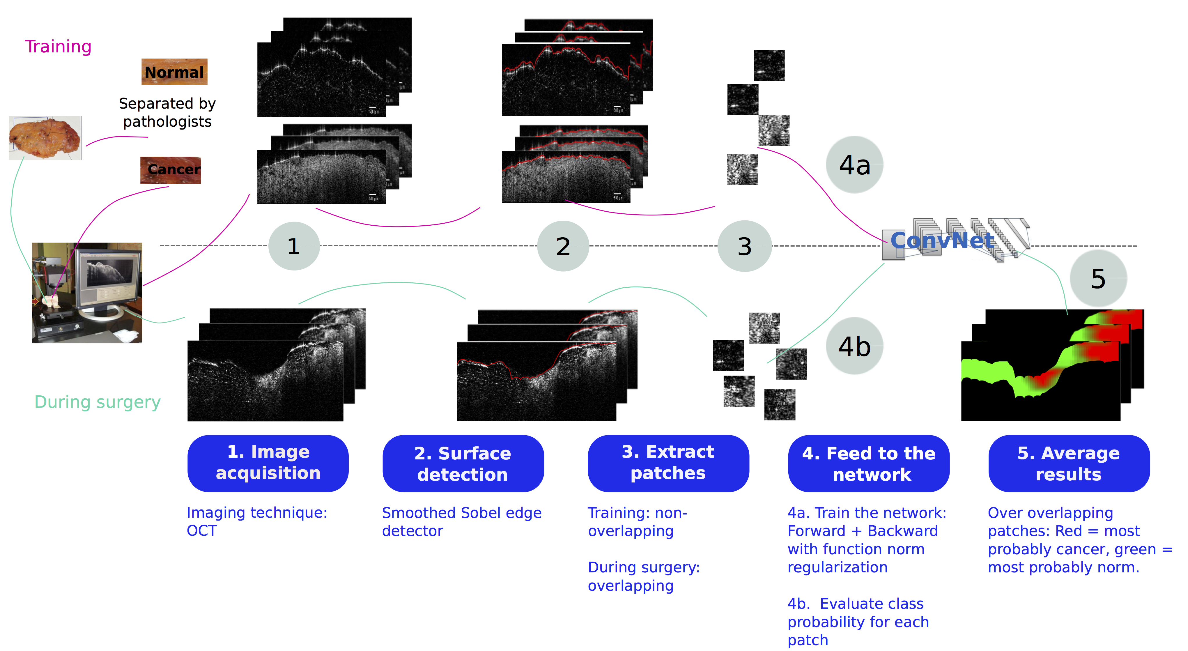 GRAPHICAL_ABSTRACT.png