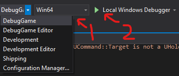 launching in visual studio