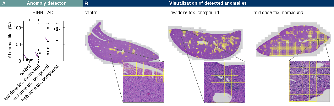 tox_pattern.png