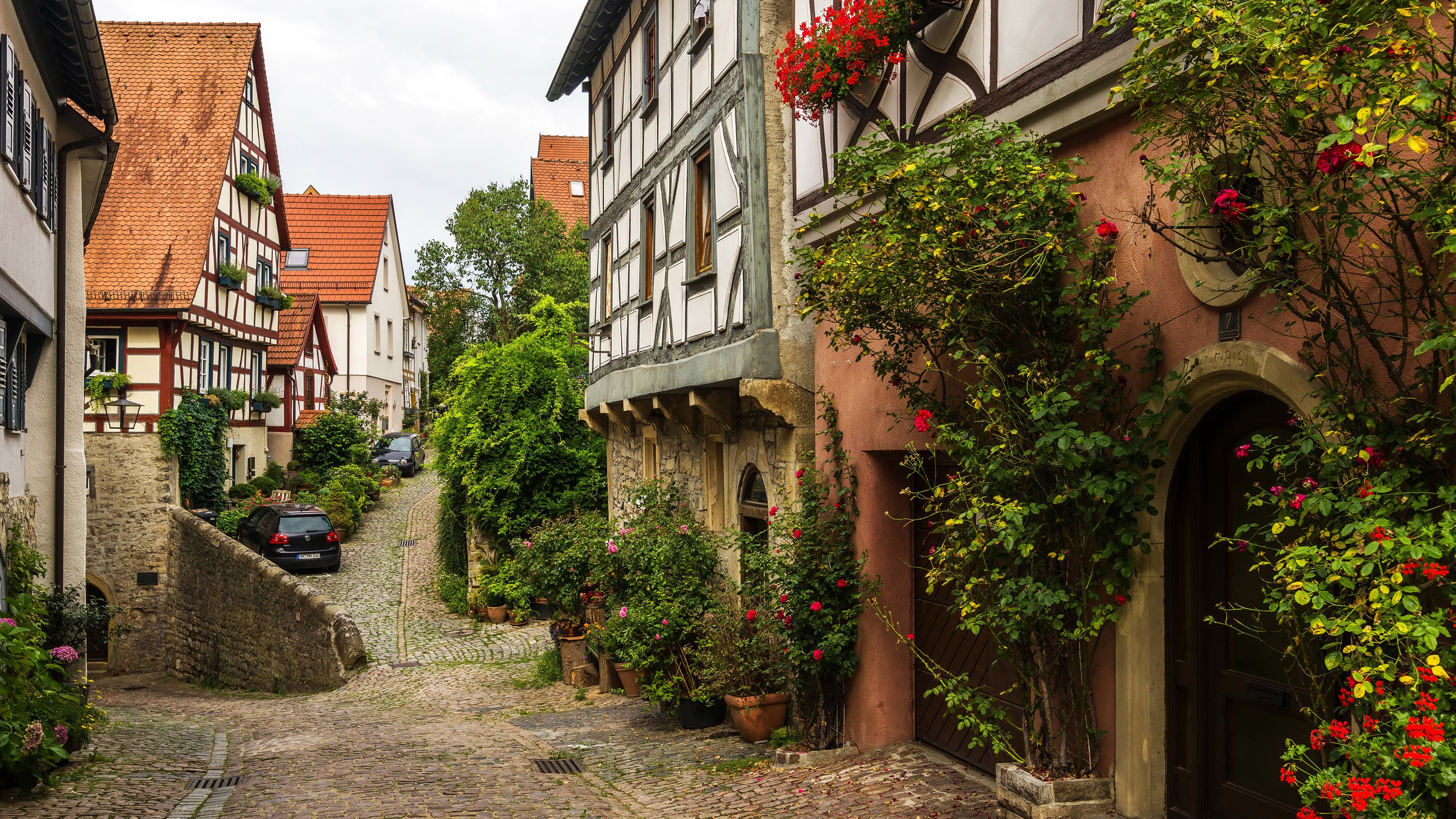 Germany-Wimpfen-street-houses-flowers.jpg