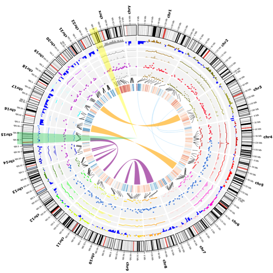 plotly circos.png