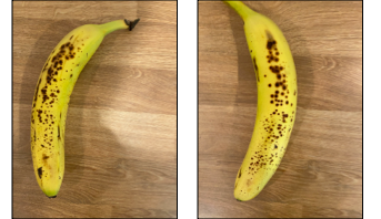 banana-training-images.png