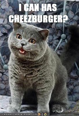 i-can-haz-cheezburger.jpg