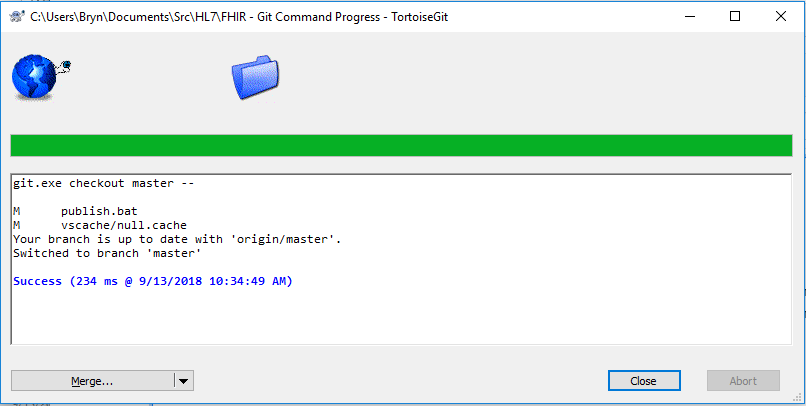 TortoiseGit Switch Success