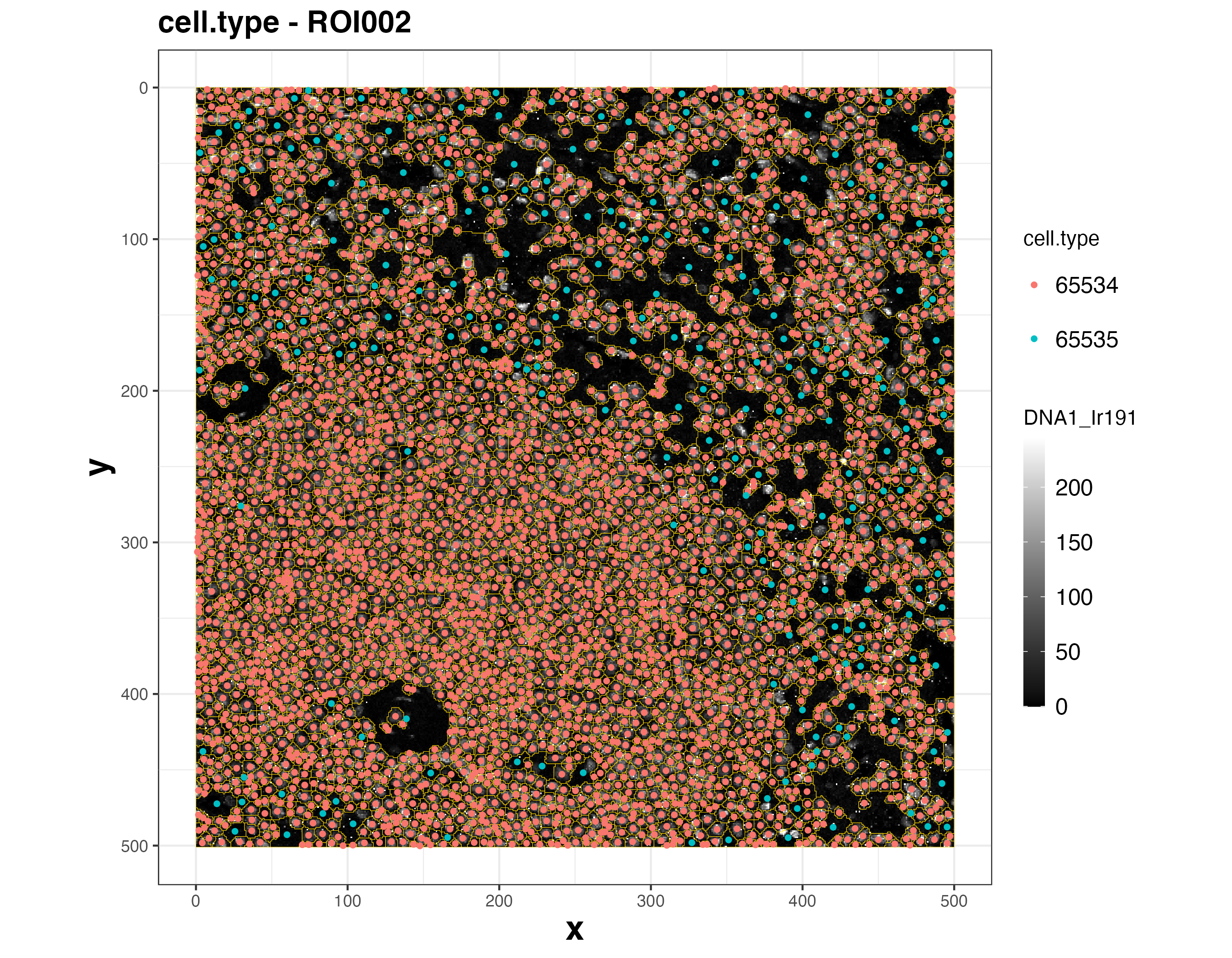 cell.type - ROI002_ROI_DNA1_Ir191_marker_cell.type.png