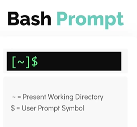 bash-prompt.PNG