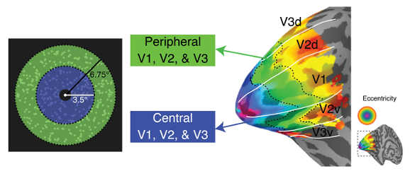 center-periphery.png