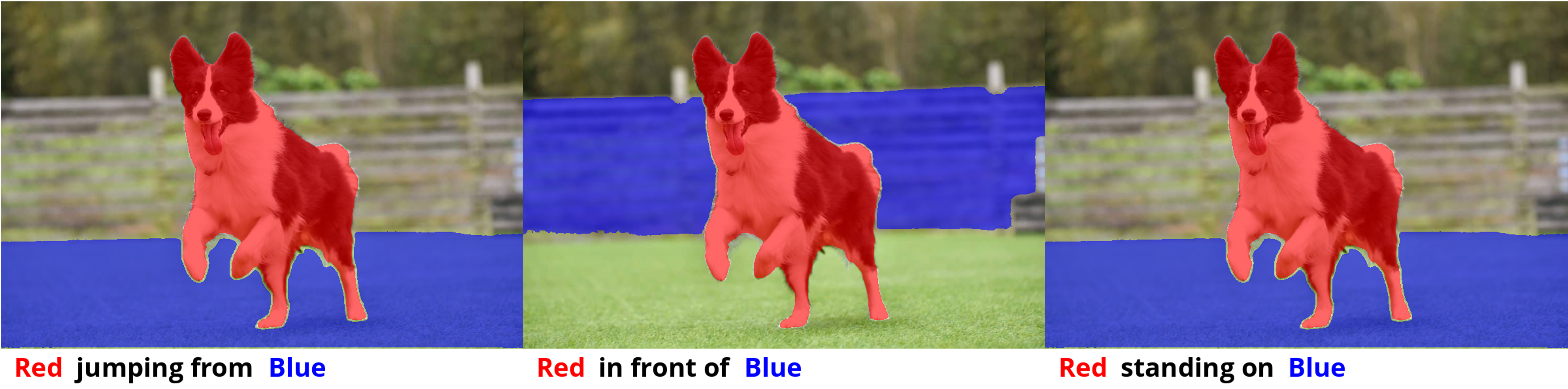 collie.png