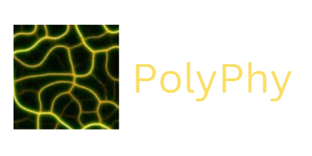 Polyphy-logo.png