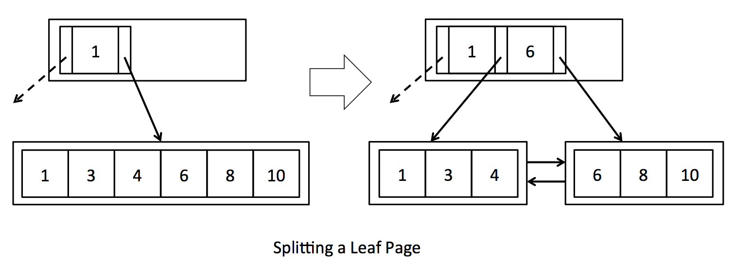 splitting_leaf.png