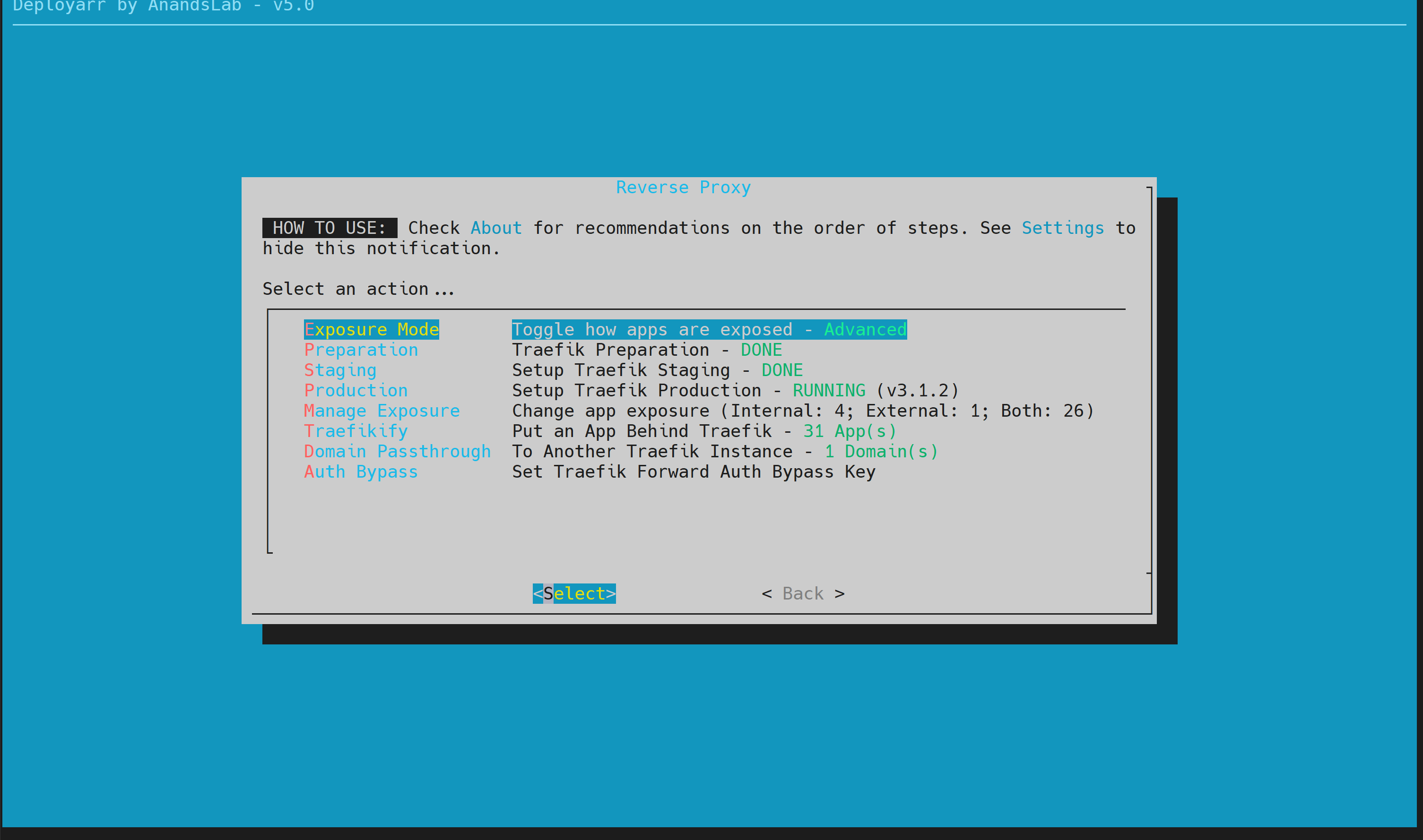 08 Deployarr v5 Reverse Proxy Options.png