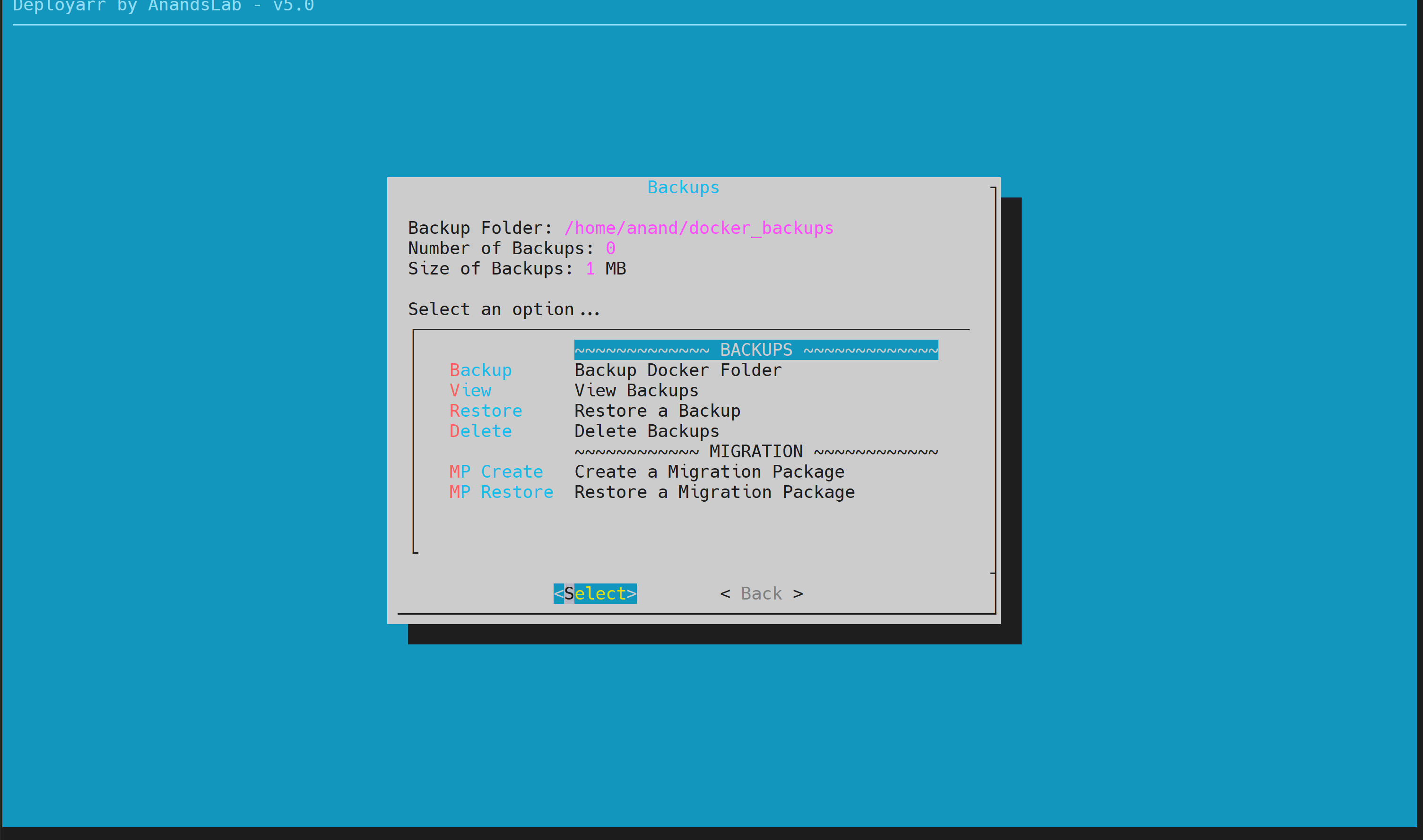 14 Deployarr v5 Backups Menu.png
