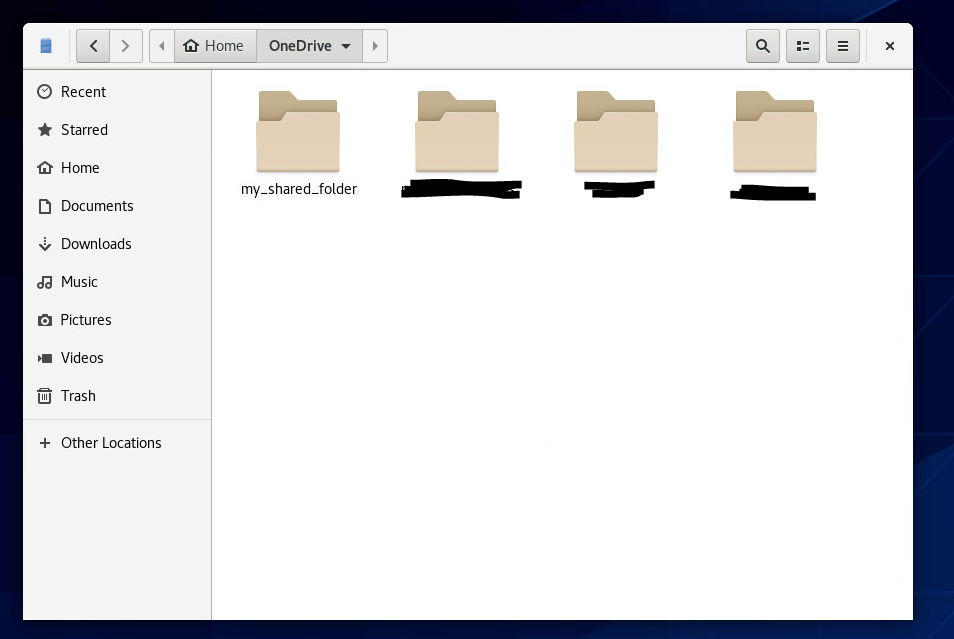 linux_shared_folder_view.png