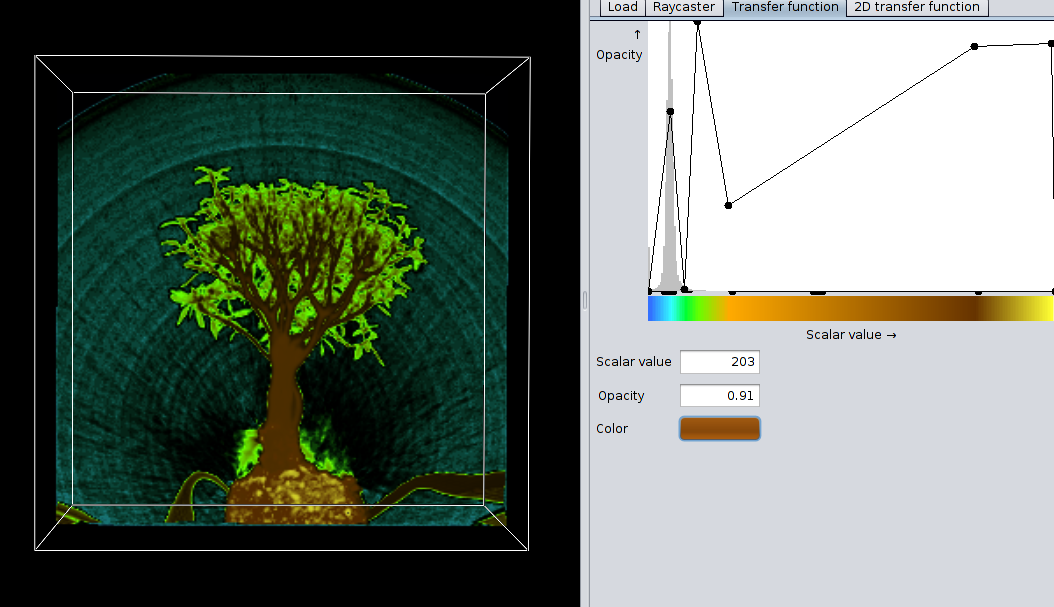 bonsai-mip-tf.png