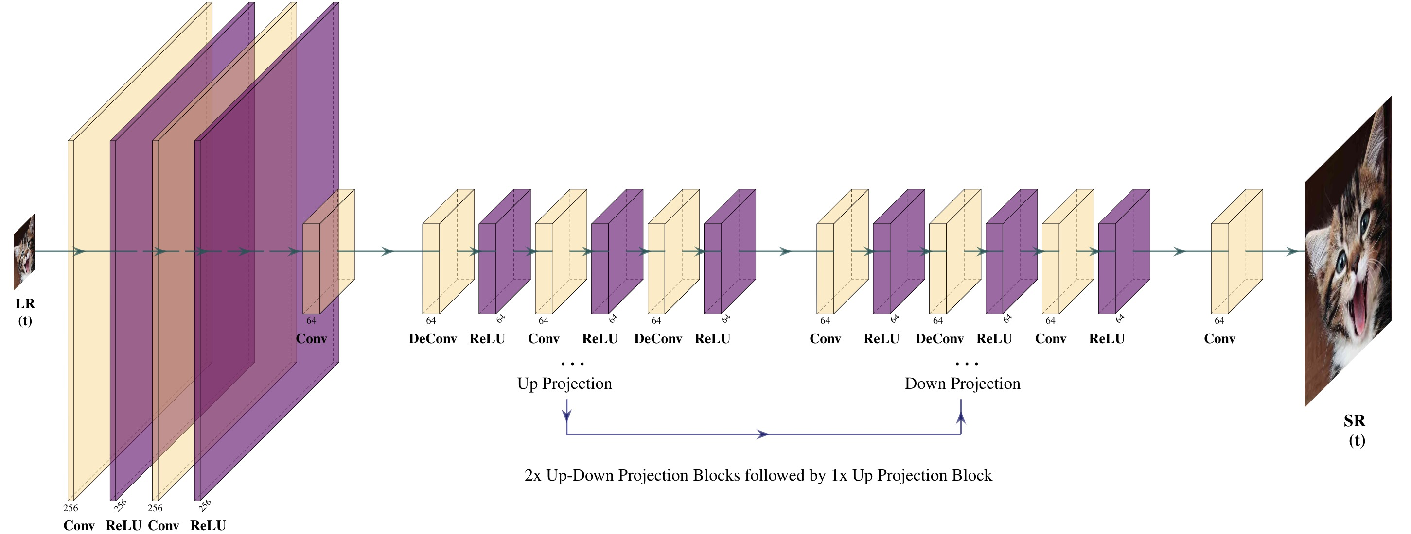 DBPN_SISR.png