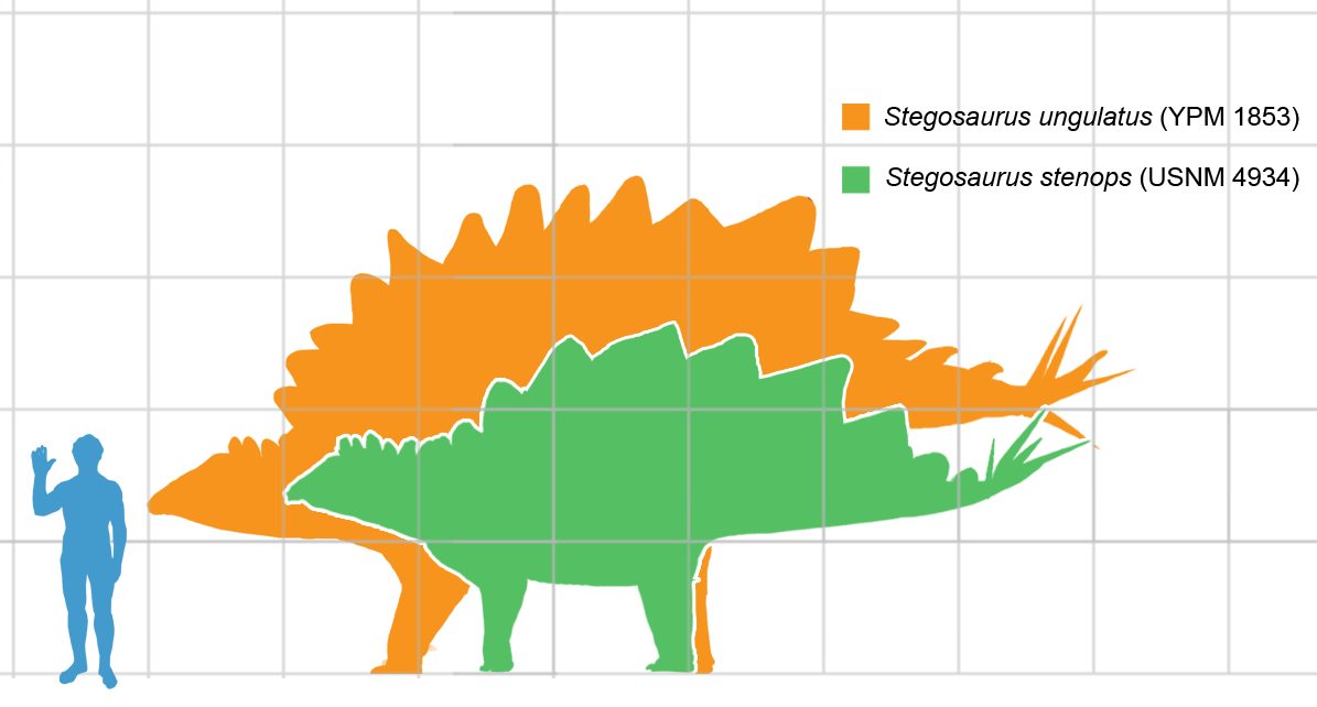 encoded_stegosaurus.png