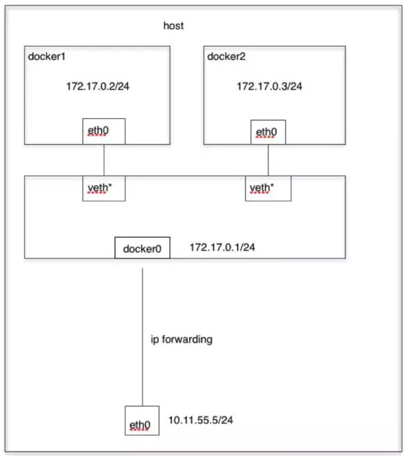 docker-netework-bridge.jpeg