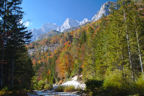 Slovenia2018_8234.jpg