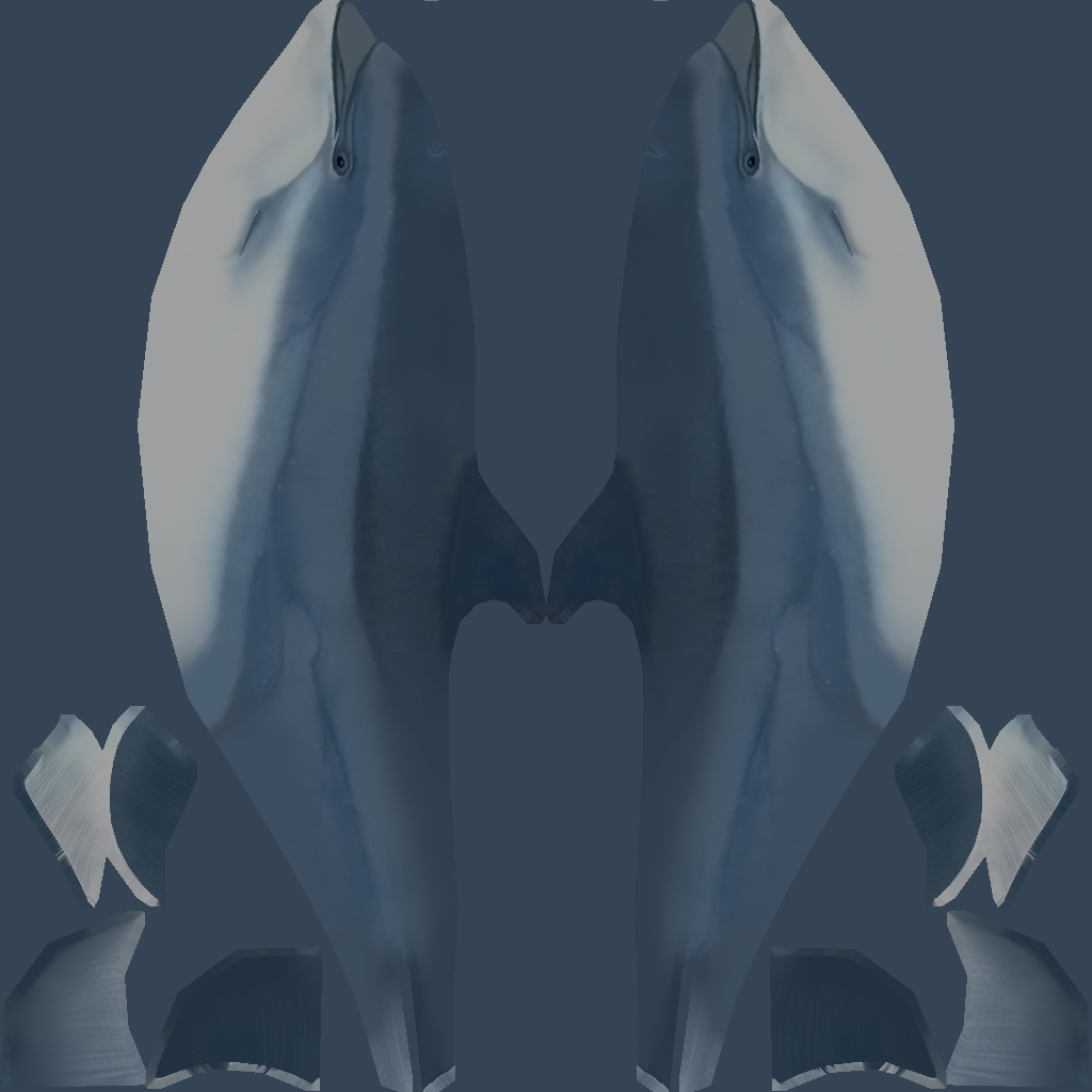 dolphin_texture.jpg