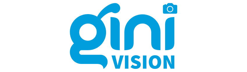 GiniVision_Logo.png