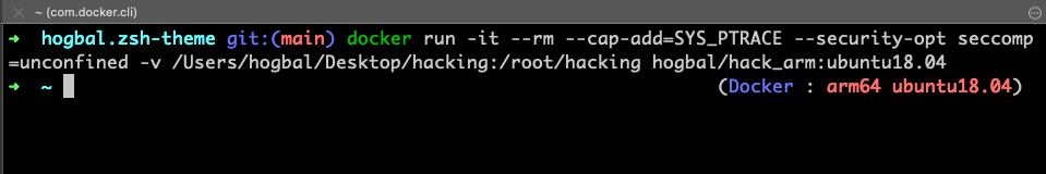 zsh_docker.png