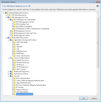 Minimum IIS settings for SQL Server Express 2005 SP2 with Advanced Features