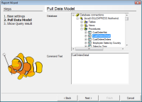 Stored Procedure in SDR