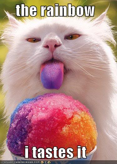 LOLCat-Rainbow.jpg