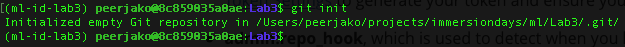 image-terminal-git-init.png