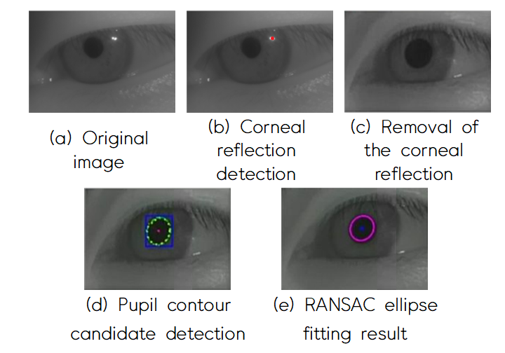 eyetracking_process.PNG