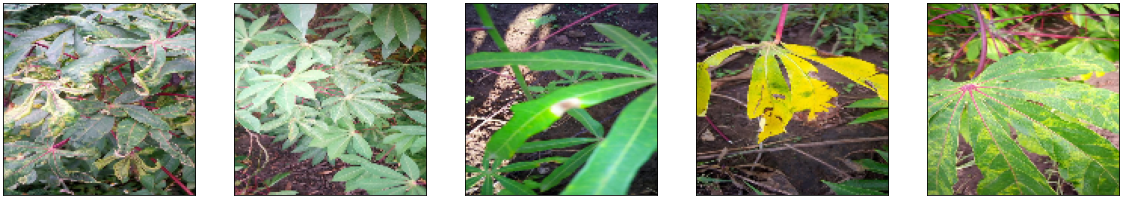 cassava-leaf-disease.png