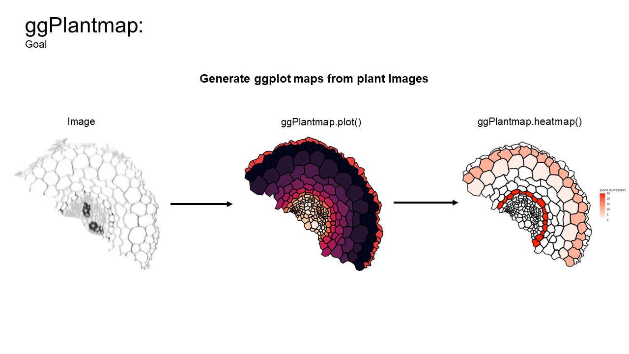 ggPlantmap.example.jpg