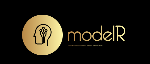 modelR logo.png