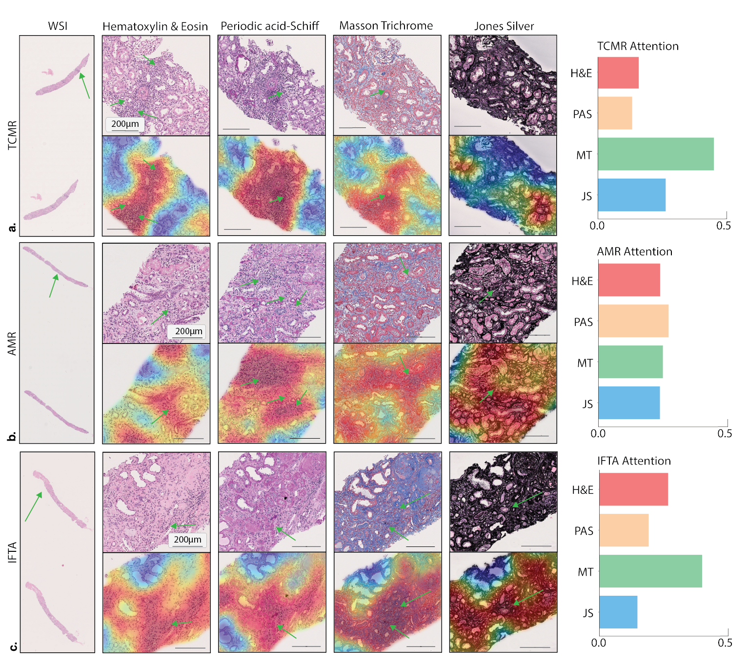 Combined Heatmap-01.png