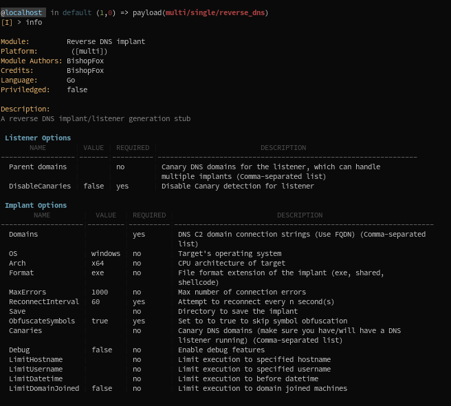 DNS-Payloads