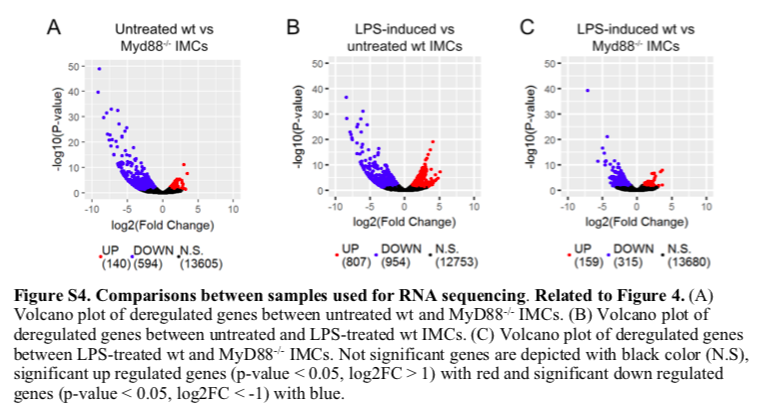 Koliaraki-et-al_2019_Figure_S4.png