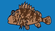 fish20.png