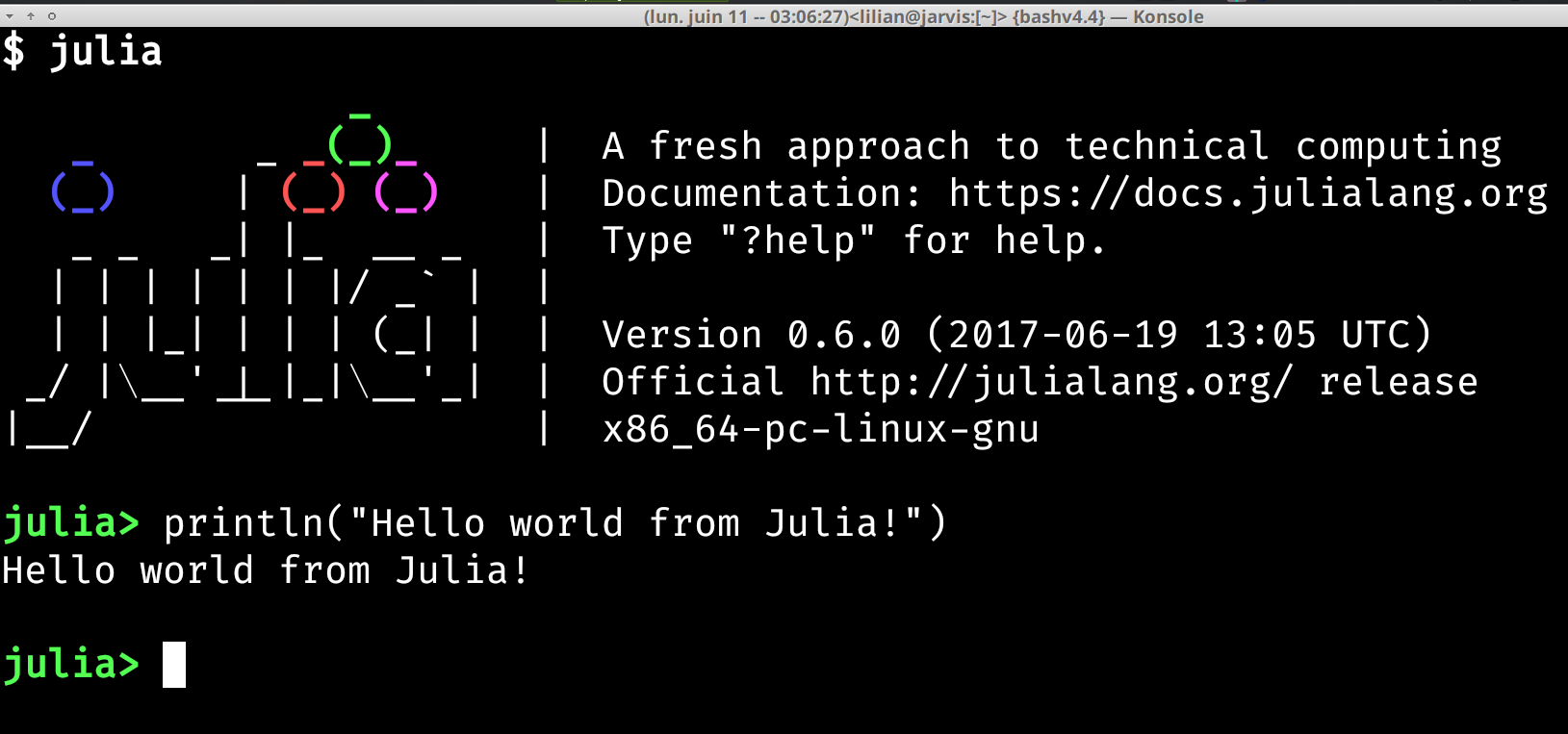 screenshot_julia_repl.png