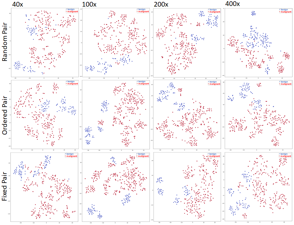 breakhis_tsne.png