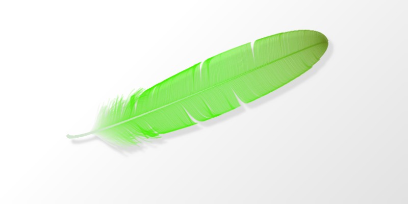 Feather2.jpg