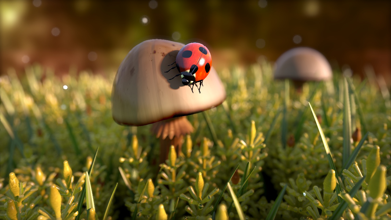 LadyBug.jpg