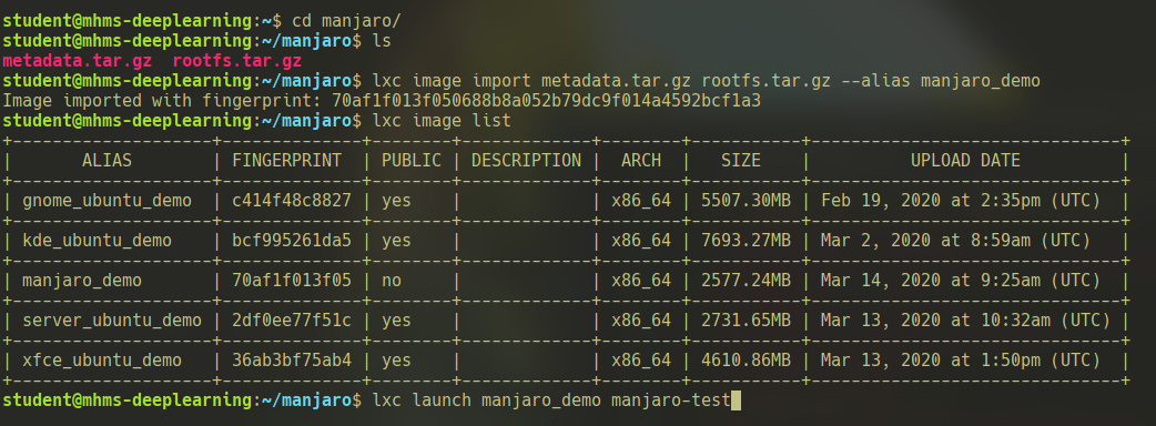 manjaro04.png