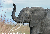 tiny_elephant.png