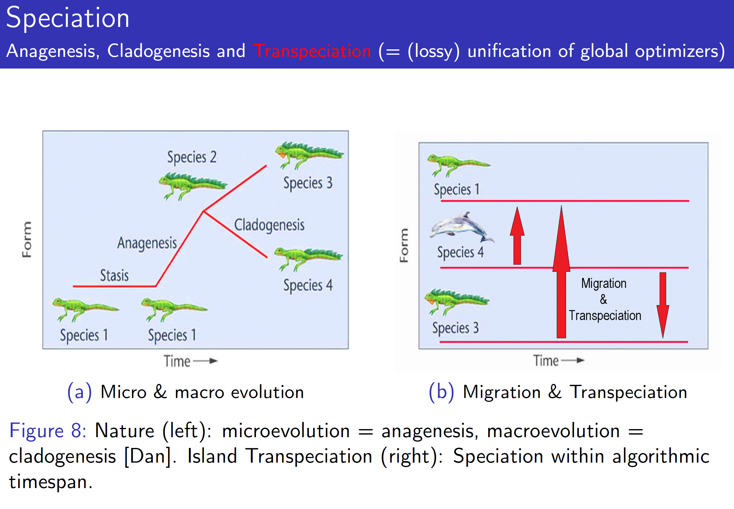 transpeciation0.png