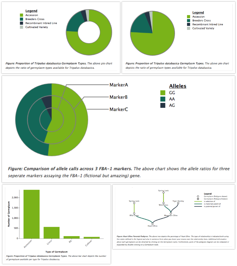 charts_screenshots.png