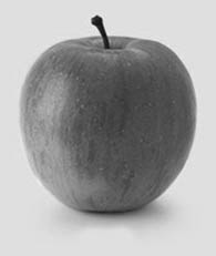 apple1_gray.jpg