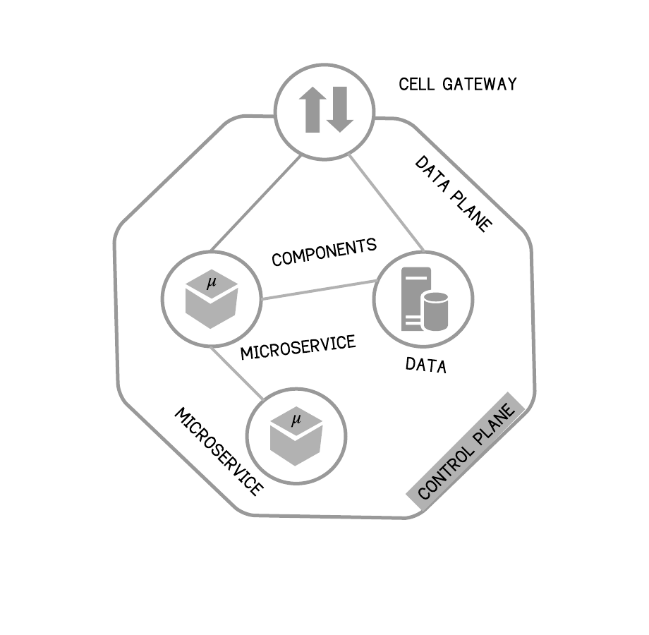 api_msa_cell.png