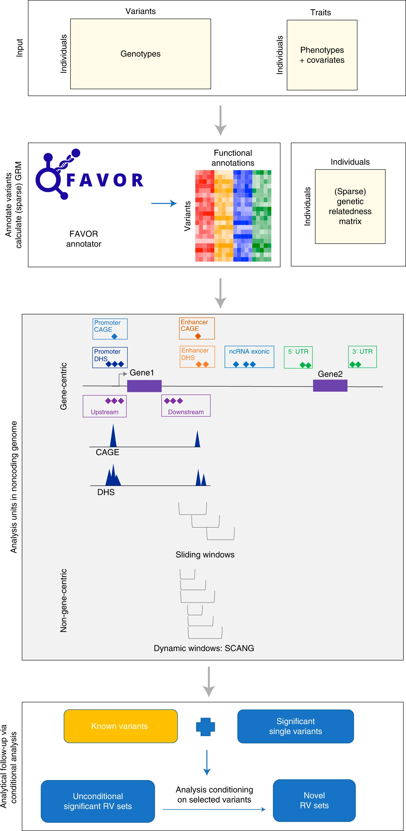 STAARpipeline_workflow.jpg