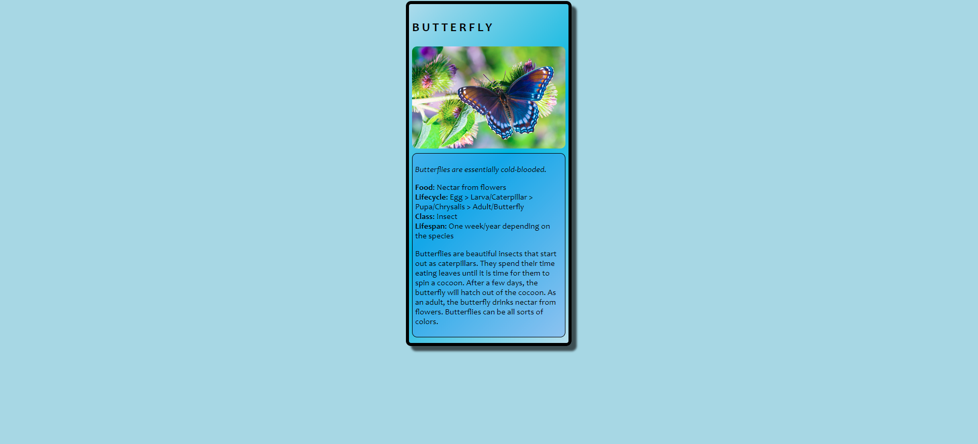 Butterfly Trading Card.PNG